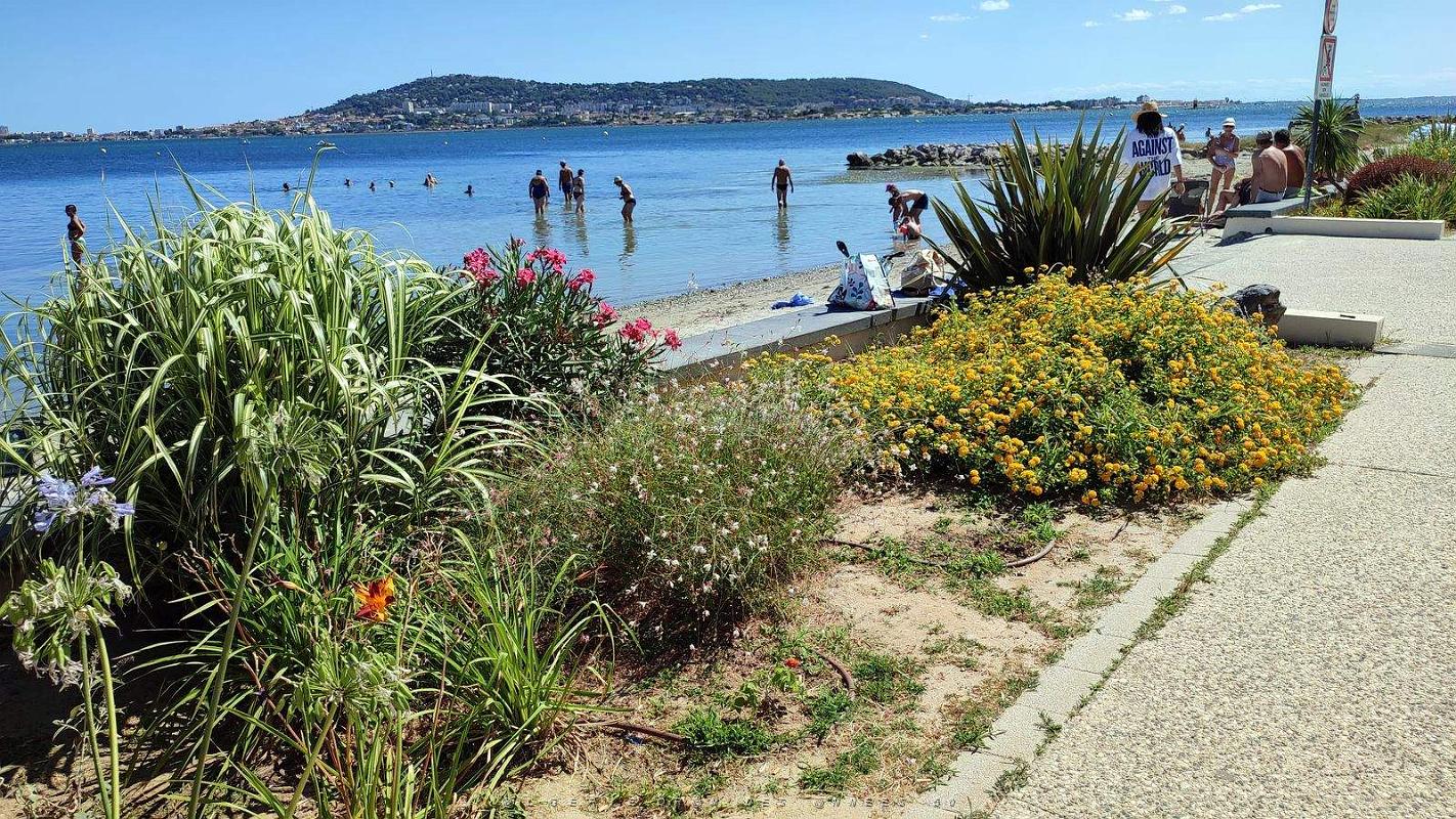 Balaruc-Les-Bains - Plage - 26 Juillet 2023 - 18.jpg